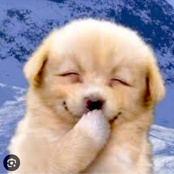 Meet your Posher, Kwang - Picture 1 of 1